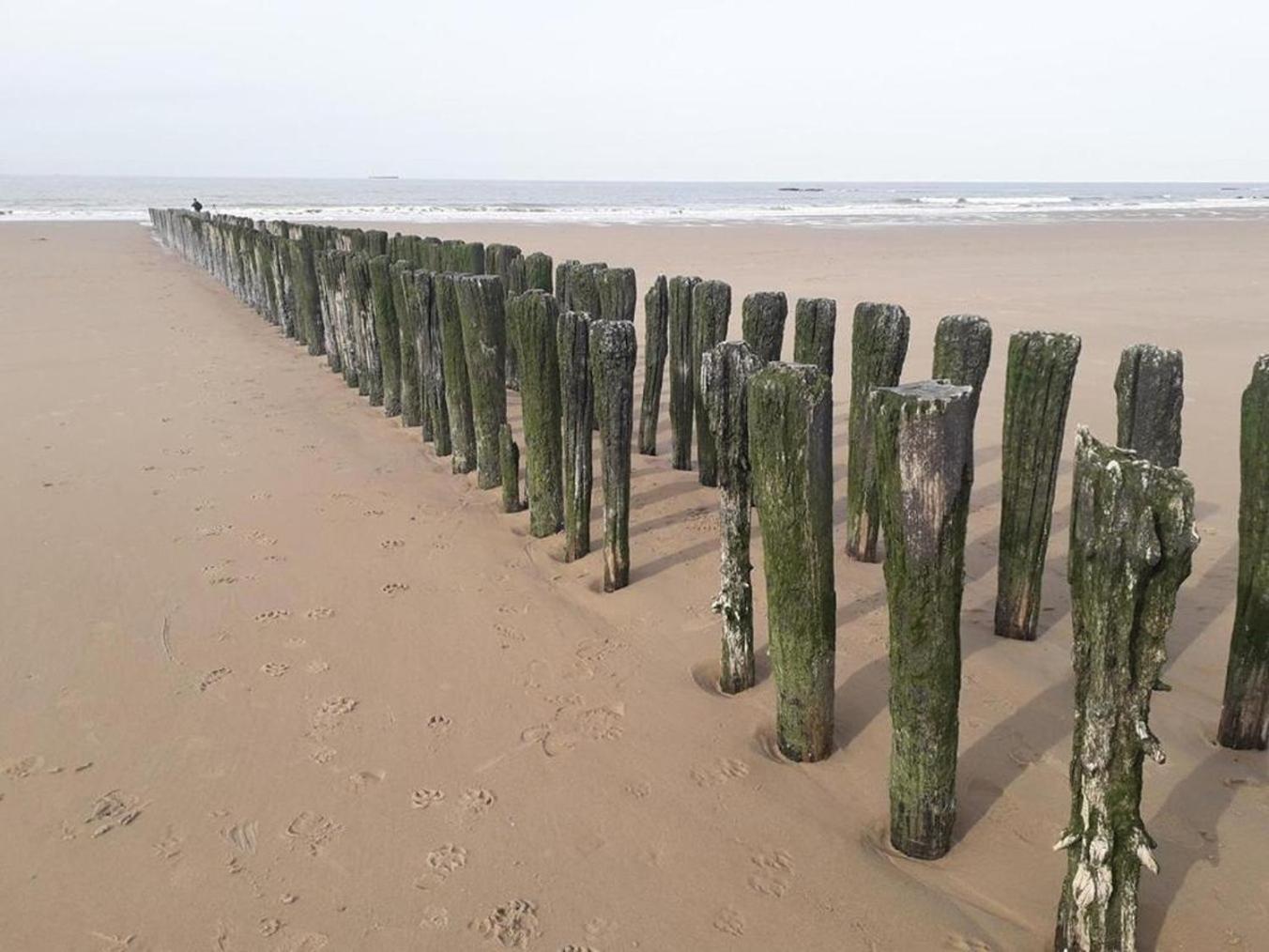 Maison Noomi Knokke-Le-Zoute